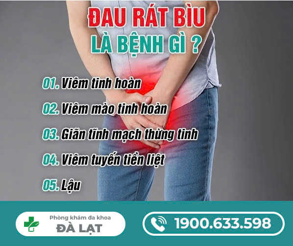 Hình ảnh minh họa